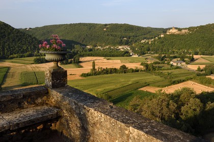France, Dordogne, Perigord Noir, Dordogne Valley, Vezac, park from Les Jardins de Marqueyssac of the 18th century and the Castelnaud -la-Chapelle Castle in the background
