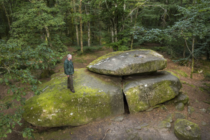 France, Nièvre (58), Parc naturel régional du Morvan, Dun-les-Places, lieu dit Dolmen de Chevresse, chaos granitique formé par l’érosion, dans la forêt de Breuil-Chenue, le garde-forestier à l’ONF Arnaud Chassaigne (vue aérienne)