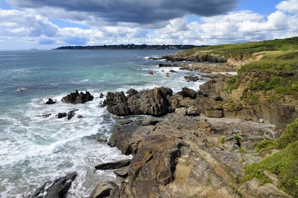 France, Finistere (29), Moelan sur Mer, the coast between Kerfany les Pins and the beach of Trenez along the GR 34 hiking trail or sentier des douaniers (customs trail)