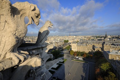 France, Paris (75), île de la Cité, la cathédrale Notre-Dame, les chimères observent la ville