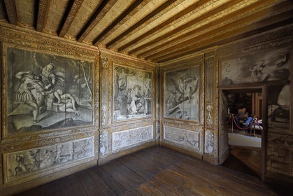 France, Dordogne (24), Périgord Noir, vallée de la Dordogne, Marquay, château de Puymartin, reconstruit au XVe siècle après la Guerre de Cent Ans, le cabinet mythologique entièrement peinte en grisaille