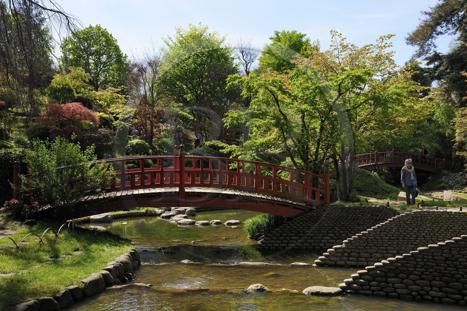 France, Hauts-de-Seine (92), Boulogne-Billancourt, le jardin japonais du musée départemental Albert-Kahn