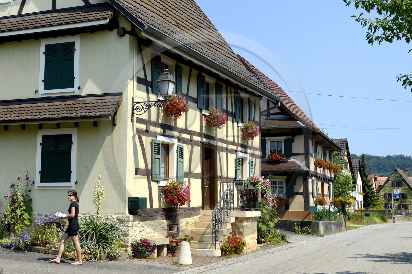 France, Haut-Rhin (68), Sundgau, Hirtzbach, maison à pans de bois dans la rue principale