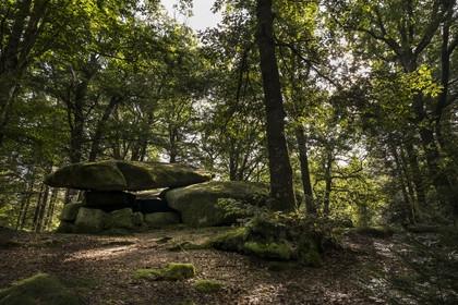 France, Nièvre (58), Parc naturel régional du Morvan, Dun-les-Places, lieu dit Dolmen de Chevresse, chaos granitique formé par l’érosion, dans la forêt de Breuil-Chenue