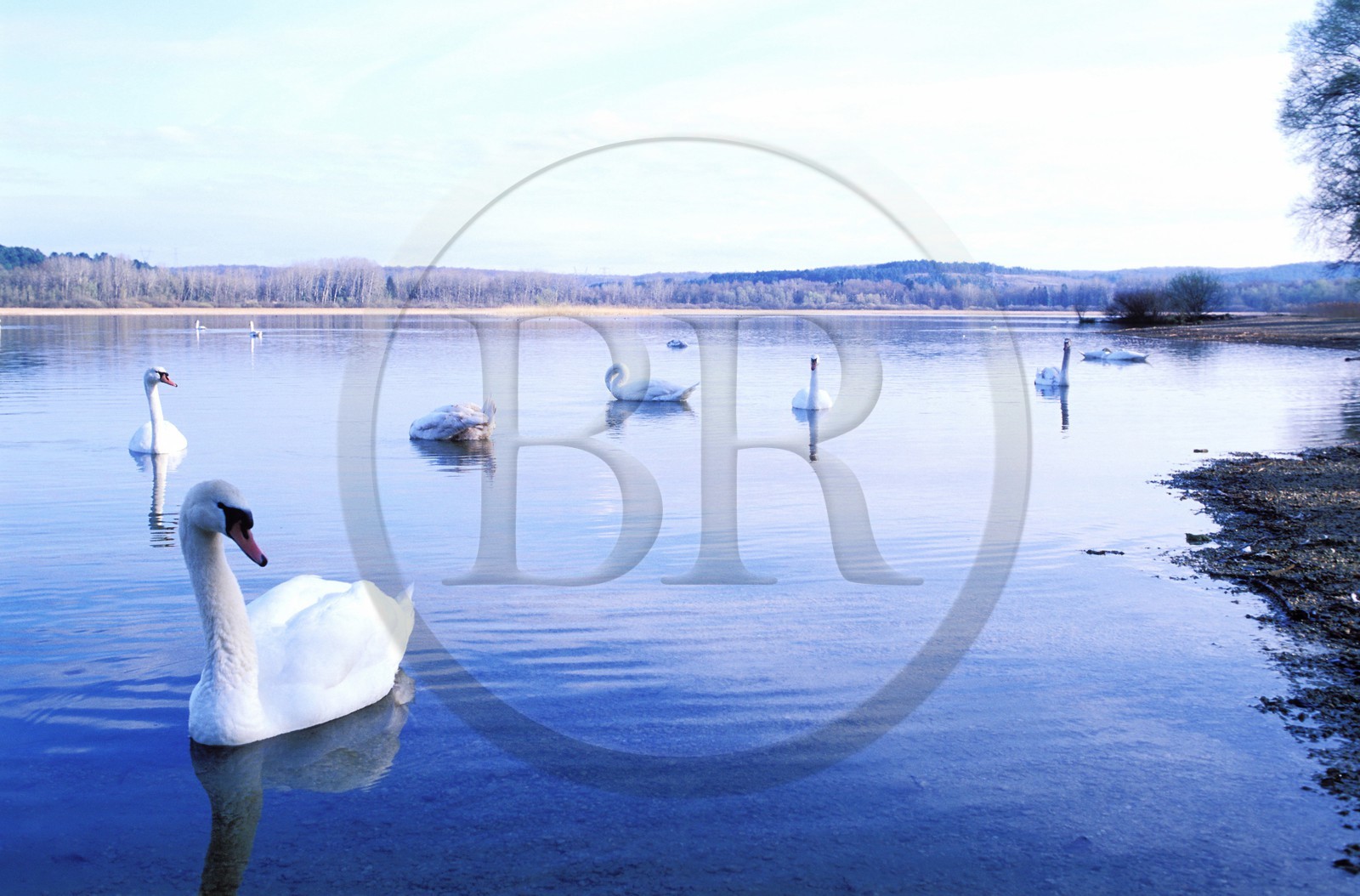 France, Côte-d' Or (21), Marcelay-le-Lac créé par les moines de l' abbaye de Molèsme