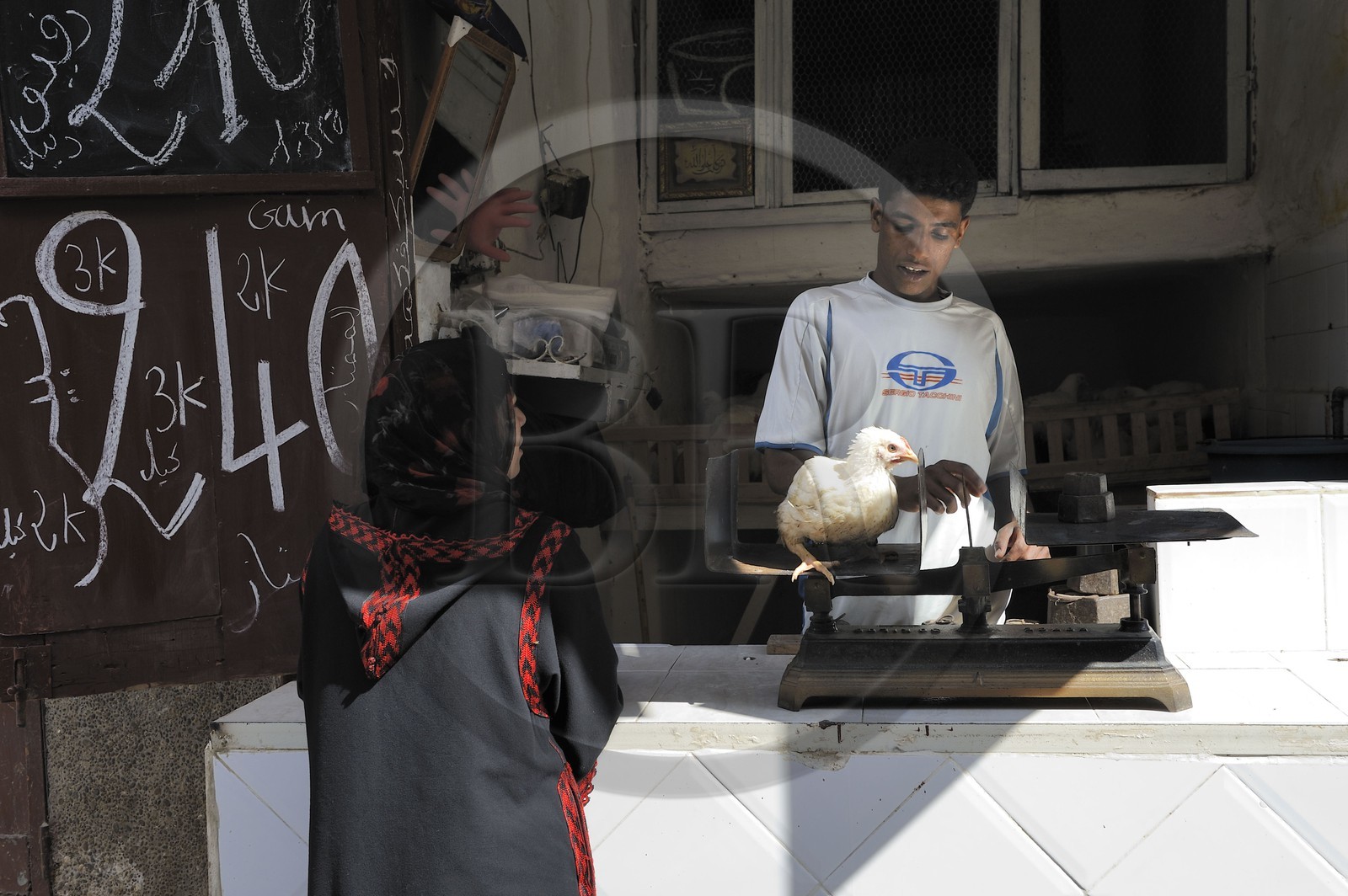 Maroc, Moyen Atlas, Fès, ville impériale, médina classée Patrimoine Mondial de l'UNESCO, Fès el Bali, vendeur de poules dans son échope Maroc, Moyen Atlas, Fès, ville impériale, médina classée Patrimoine Mondial de l'UNESCO, Fès el Bali, vendeur de poules dans son échope