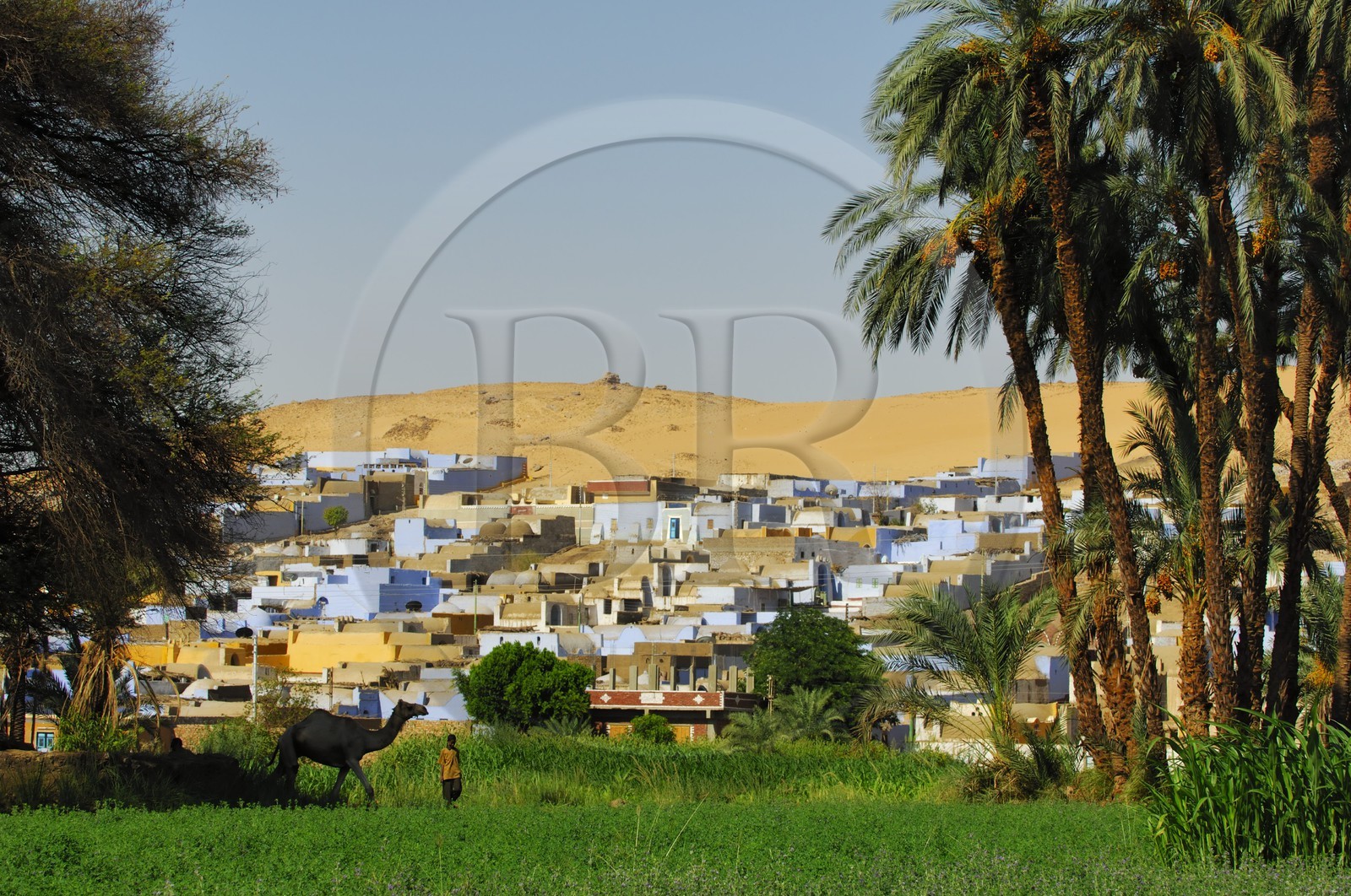 Egypte, Haute Egypte, Nubie, vallée du Nil, Assouan, la rive ouest, village nubien à l'orée du désert