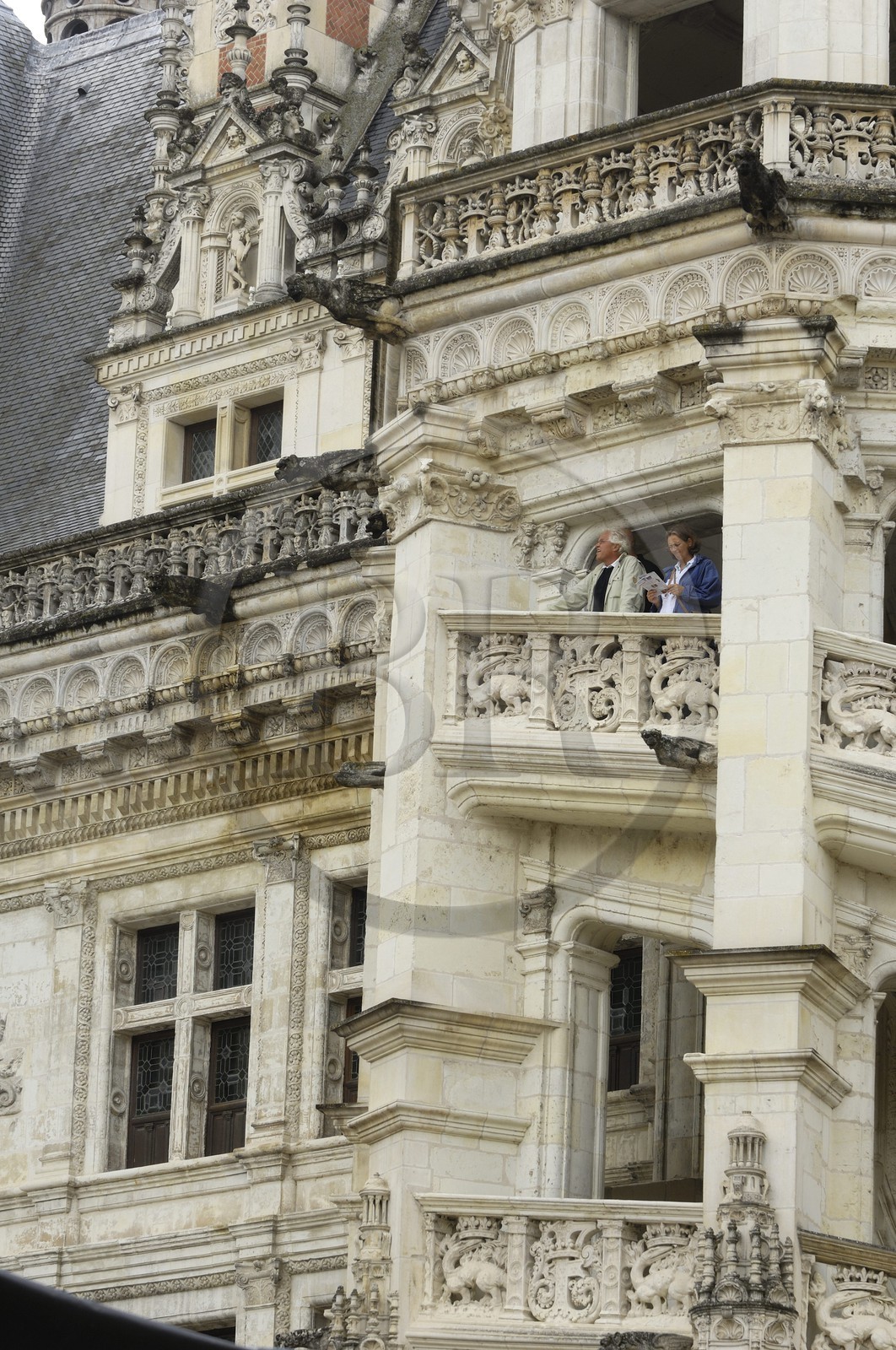 France, Loir-et-Cher (41), vallée de la Loire classée au Patrimoine Mondial de l'UNESCO, château de Blois, escalier à clair-voie sur la façade François 1er