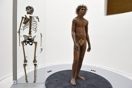 France, Dordogne, Perigord Noir, Vezere Valley, Les Eyzies de Tayac Sireuil, listed as World Heritage by UNESCO, Musee de la Prehistoire (Museum of Prehistory), reconstitution and skeleton of the Lake Turkana teenager (Nariokotome Boy), this fossil dated around 1.8 million years is attached either to the Homo ergaster species either the Homo erectus