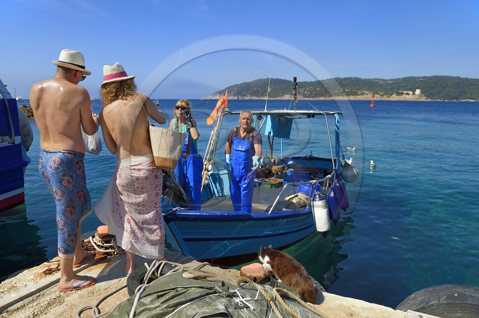 France, Var (83), Iles d'Hyères, Parc national de Port Cros, Ile du Levant, domaine naturiste d'Héliopolis, un couple de naturistes vient acheter du poisson à Christophe et Brigitte Chevallier, seuls pêcheurs professionnels d'Héliopolis, dès leur retour au port