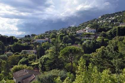 France, Alpes-Maritimes (06), Cannes, quartier de la Californie