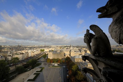 France, Paris (75), île de la Cité, la cathédrale Notre-Dame, les chimères observent la ville, la Stryge est l’une des plus célèbres chimères