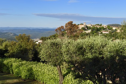 France, Alpes-Maritimes (06), région de Grasse, le village perché de Cabris