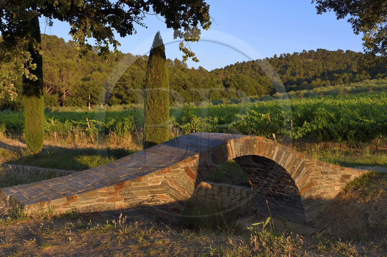 France, Bouches-du-Rhône (13),  Le Puy Sainte Réparade, Chateau La Coste domaine viticole et centre d'art contemporain, Donegal par le designer Larry Neufeld (Mention Obligatoire)