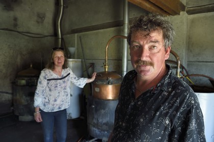 France, Meuse (55), Parc régional de Lorraine, Cotes de Meuse, Combres-sous-les-cotes, Domaine de Muzy, distillation d'eau-de-vie de mirabelle chez Véronique et Jean-Marc Liénard