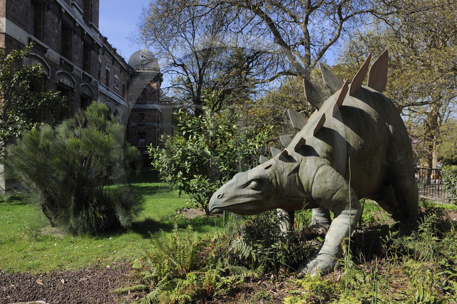 France, Paris (75), Jardin des Plantes, Museum National d'Histoire Naturelle, dinosaure devant la Galeries de Paléontologie et d'Anatomie comparée