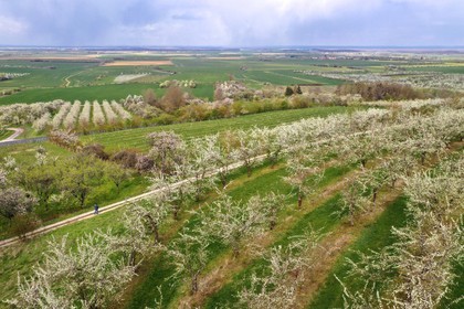 France, Meuse (55), Parc r