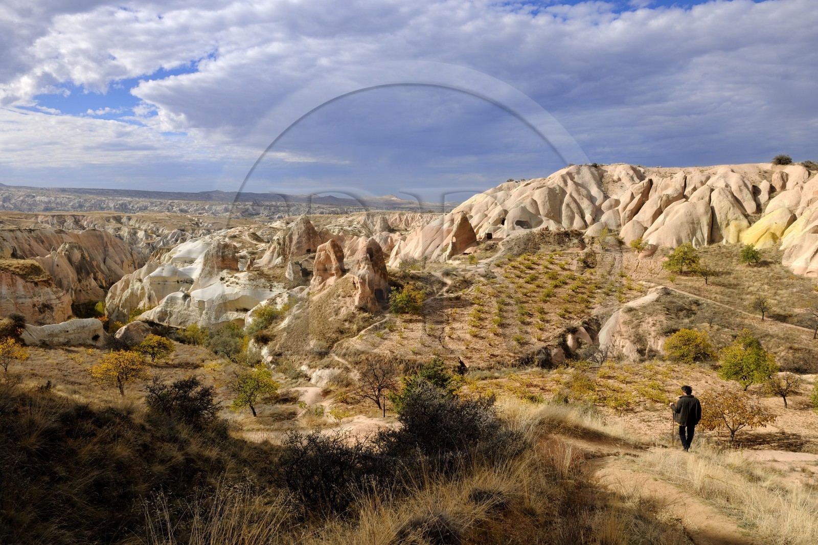 Turquie, Anatolie Centrale, province de Nevsehir, Cappadoce classée Patrimoine Mondial de l'UNESCO, vallon de Kizil Çukur (vallée Rouge) et vignes sur le versant occidental du massif de l'Ak Tepe vers Çavusin Turquie, Anatolie Centrale, province de Nevsehir, Cappadoce classée Patrimoine Mondial de l'UNESCO, vallon de Kizil Çukur (vallée Rouge) et vignes sur le versant occidental du massif de l'Ak Tepe vers Çavusin