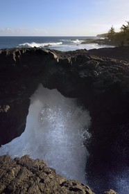 France, Reunion island (French overseas department), South coast, Sainte Philippe, the wild south coast at the Baril, wild waves at Le Souffleur d'Arbonne