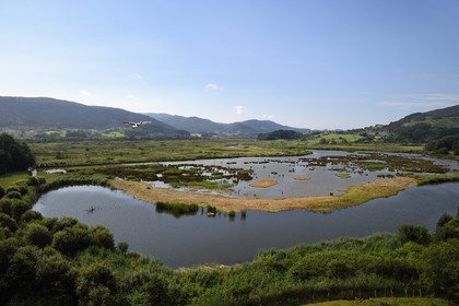 Spain, Basque Country, Biscay Province, Gernika-Lumo region, Urdaibai estuary Biosphere Reserve, Urdaibai Bird Center, flight of a white stork (Ciconia ciconia) above the marsh at the beginning of the estuary