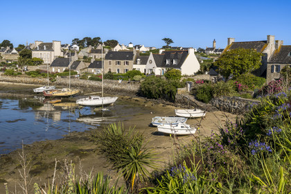 France, Finistère (29), Iles du Ponant, Ile de Batz, Porz an Eog, ancien port des goélettes et maisons d'armateurs dans le Bourg, le phare en arrière plan