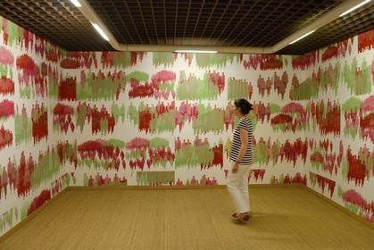 France, Haut Rhin, Mulhouse, Rixheim, Museum of the wallpaper, winning creation by Moussa Moussa for the Upper Rhine school