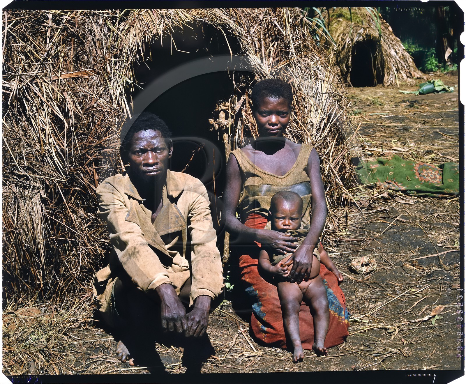 Burundi, province de Muyinga, famille Twa (pygmée) devant leur case en paille, on peut observer les doigts de la jeune mère déjà déformés par le travail de poterie, les Twa comme la plupart des autres groupes pygmées d'Afrique ont toujours été repoussés plus loin dans les forêts par les autres ethnies, le Burundi n'ayant presque plus de forêts primaires cela entraine qu'ils vivent très pauvrement dans les endroits les plus reculés du pays dans de petites structures villageoises faites de cases en paille (reproduction plan-film inversible 4x5)