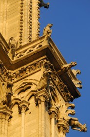 France, Paris (75), Ile de la Cité, cathédrale Notre-Dame de Paris, gargouilles de la tour sud