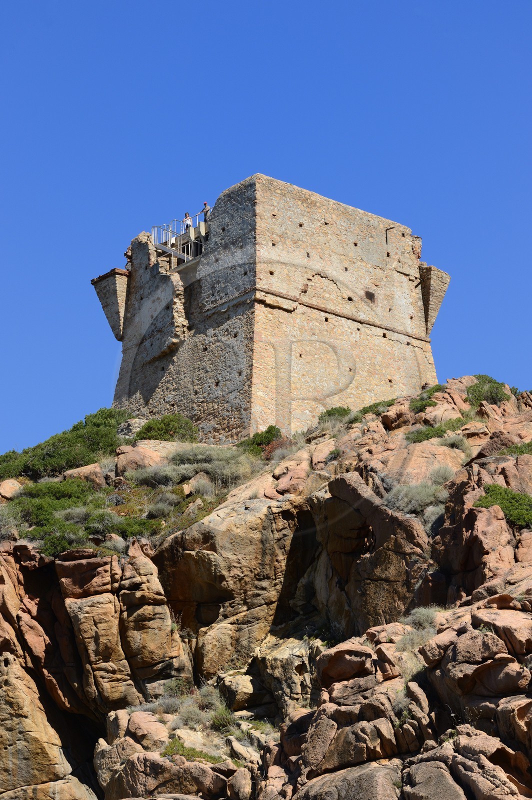 France, Corse-du-Sud (2A), Golfe de Porto, classé Patrimoine Mondial de l'UNESCO, la tour génoise au-dessus de la passe du port de la marine de Porto