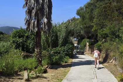 France, Var (83), Iles d'Hyères, Parc national de Port Cros, Ile du Levant, domaine naturiste d'Héliopolis, un naturiste descend au port via le Val de l'Ayguade