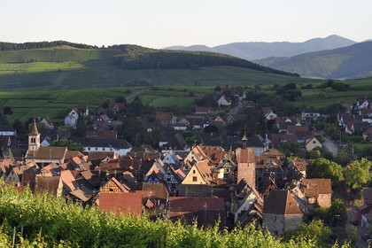 France, Haut-Rhin (68), Route des vins d'Alsace, Riquewihr, labellisé Les Plus Beaux Villages de France