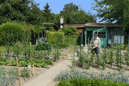 France, Bas-Rhin (67), Strasbourg, quartier de la Robertsau, jardins ouvriers