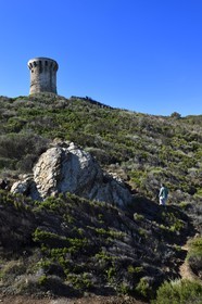 France, Corse-du-Sud (2A), Zonza, tour génoise de Fautea