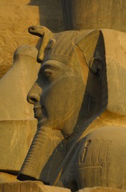 Egypte, Haute Egypte, vallée du Nil, temple de Louxor classé Patrimoine Mondial de l'UNESCO, cour de Ramses II