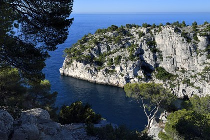 France, Bouches du Rhone, Marseille, National Park of the Calanques, Calanque En Vau (cove) (request for authorization necessary before publication)