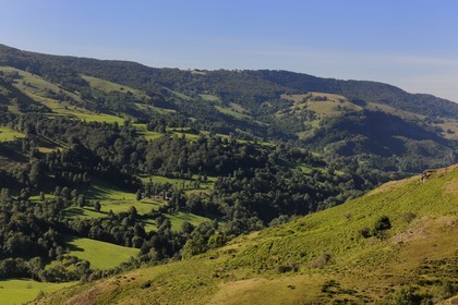 France, Cantal, Monts du Cantal, Parc Naturel Regional des Volcans d' Auvergne (regional nature park of Auvergne volcanoes), valley of the river Cere at Saint-Jacques-des-Blats