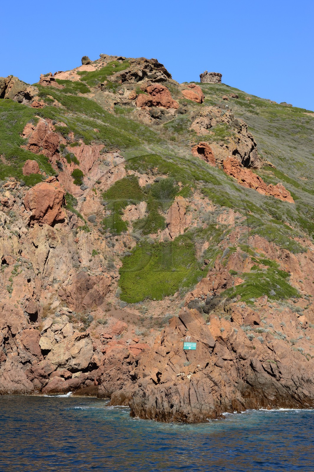 France, Corse-du-Sud (2A), Golfe de Porto, classé Patrimoine Mondial de l'UNESCO, Réserve naturelle de Scandola, Ile de Gargalo dominée par une ancienne tour génoise