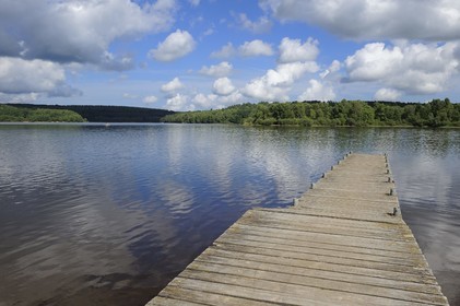 France, Nièvre (58), lac de Saint-Agnan, ponton
