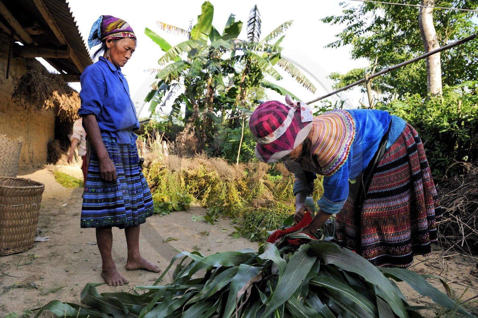 Vietnam, province de Lao Cai, région de Bac Ha, paysannes de la minorité Hmong Fleurs