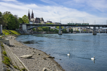Suisse, Bâle, la rive gauche du Rhin et la Wettsteinbrucke, la cathédrale protestante Notre-Dame de Bâle (Munster) en arrière plan