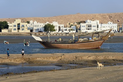 Sultanat d'Oman, gouvernorat de Ash Sharqiyah, ville et port de Sour, le vieux quartier de pêcheurs de Al Ayjah, pecheurs sortant du port sur leur boutre