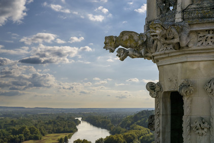 France, Nièvre, Nevers, Saint Cyr et Sainte Julitte cathedral, 16th century gargoyles at the top of the Bohier tower and the Loire river in the background