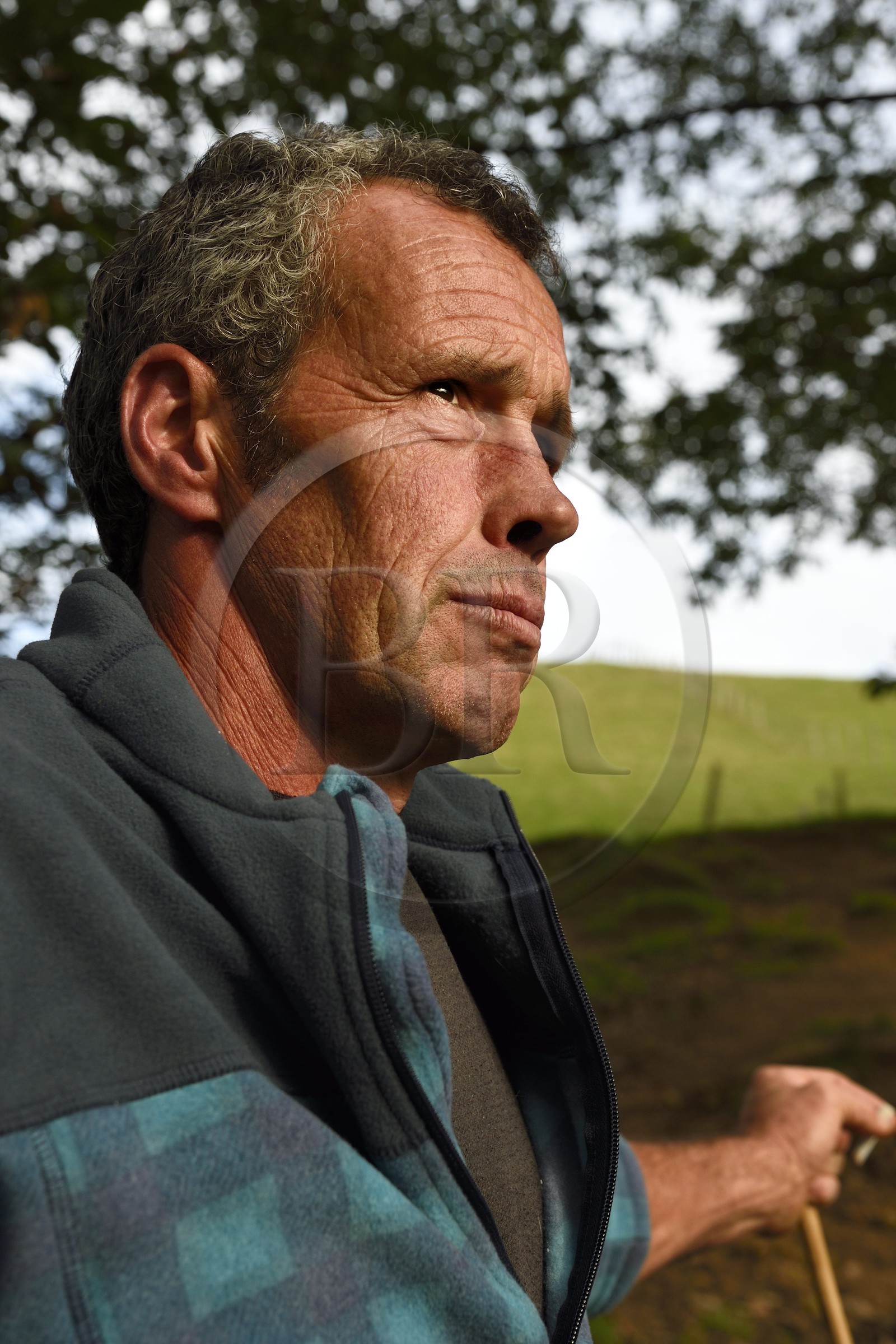 France, Pyrénées-Atlantiques (64), Pays-Basque, vallée des Aldudes, Urepel, l'éleveur de brebis manech tête noire Jean-Bernard Etchebarren