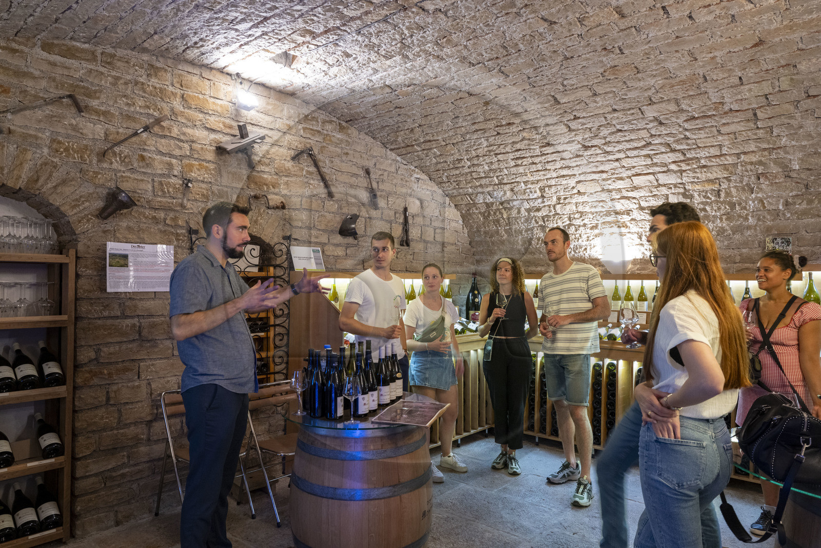 France, Côte-d'Or (21), vignoble des Hautes Côtes de Nuits, Villars-Fontaine, dégustation des vins du Domaine de Montmain