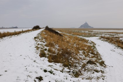 France, Ille et Vilaine, polder of Mont Saint Michel