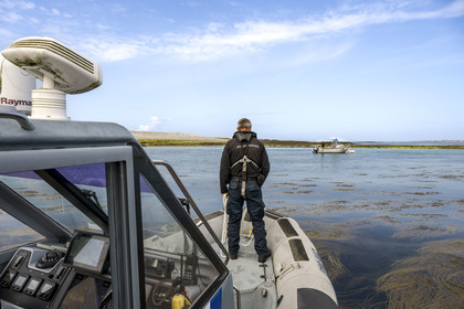 France, Finistère, Iroise Sea, Molene archipelago, Quemenes Island, patrol aboard the Brest maritime affairs fast boat