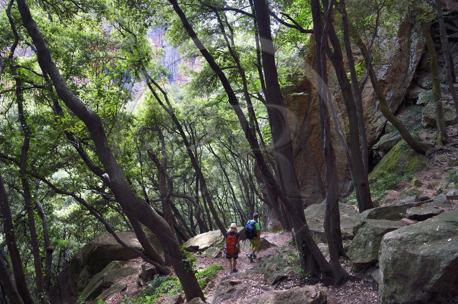 France, Var (83), entre Bagnols-en-Forêt et Roquebrune-sur-Argens, randonnée dans les Gorges du Blavet