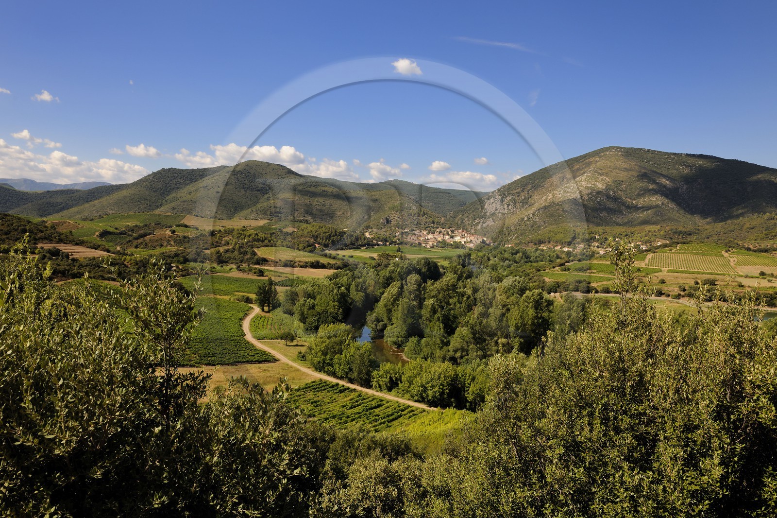 France, Hérault (34), vallée de l' Orb, village de Roquebrun au lointain et vignoble AOC Saint-Chinian & Roquebrun