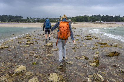 France, Cotes d'Armor, Grand Site de France Cap d'Erquy - Cap Frehel, Erquy, the Saint-Michel islet accessible on foot at low tide, passage of the tombolo at rising tide