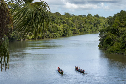 France, French Guiana, Kourou, Camp Maripas, race of two P12 pirogue (traditional Guyanese pirogue adapted in resin) on the Kourou River (aerial view)